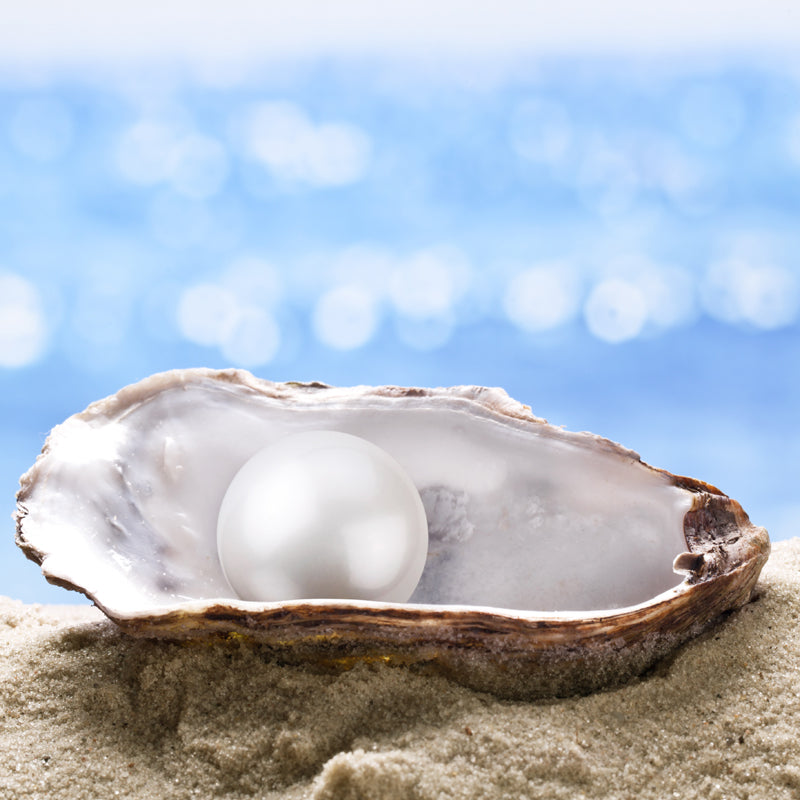pearl inside an oyster on the beach
