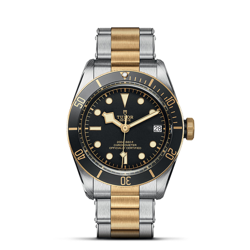 TUDOR Black Bay S&G 41mm Steel & Gold