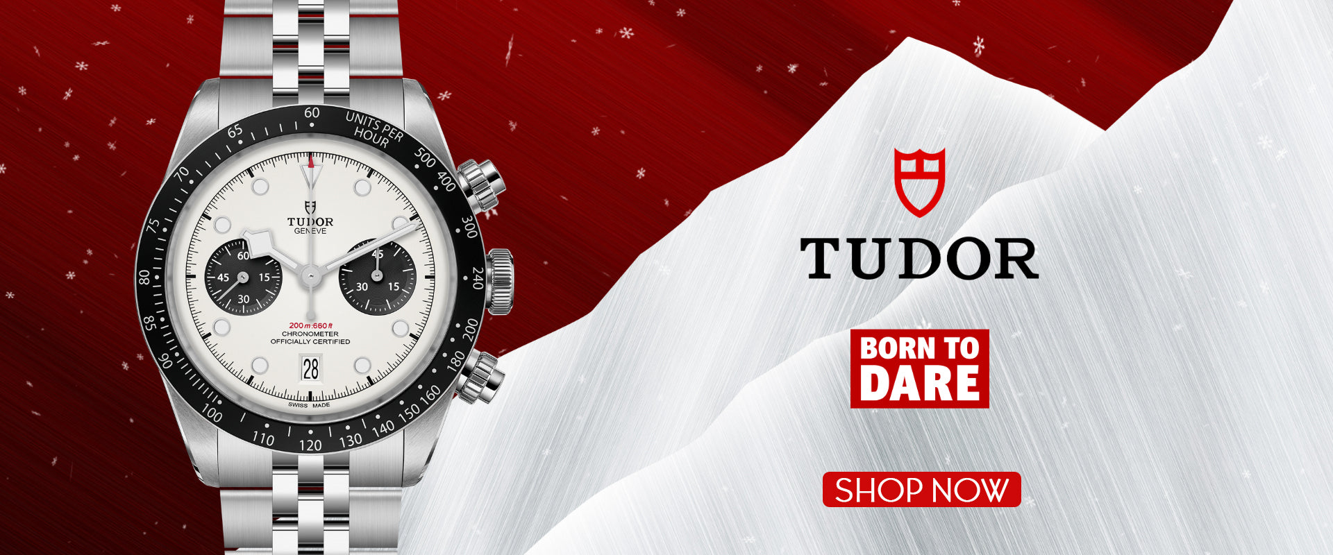 Tudor watches at Hamra Jewelers. Picture of a Tudor watch