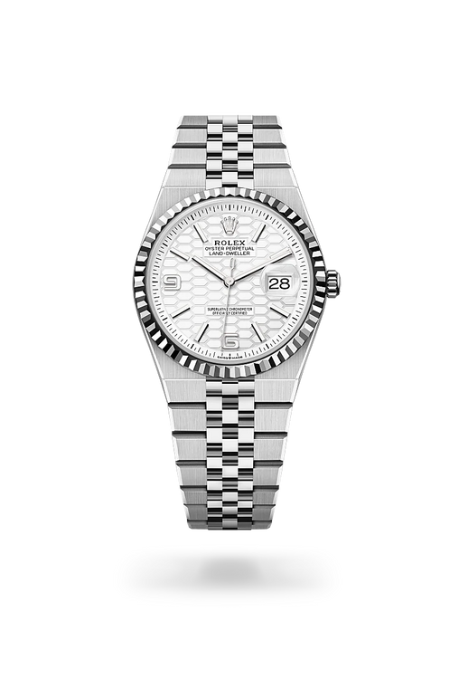 Rolex Land-Dweller 36