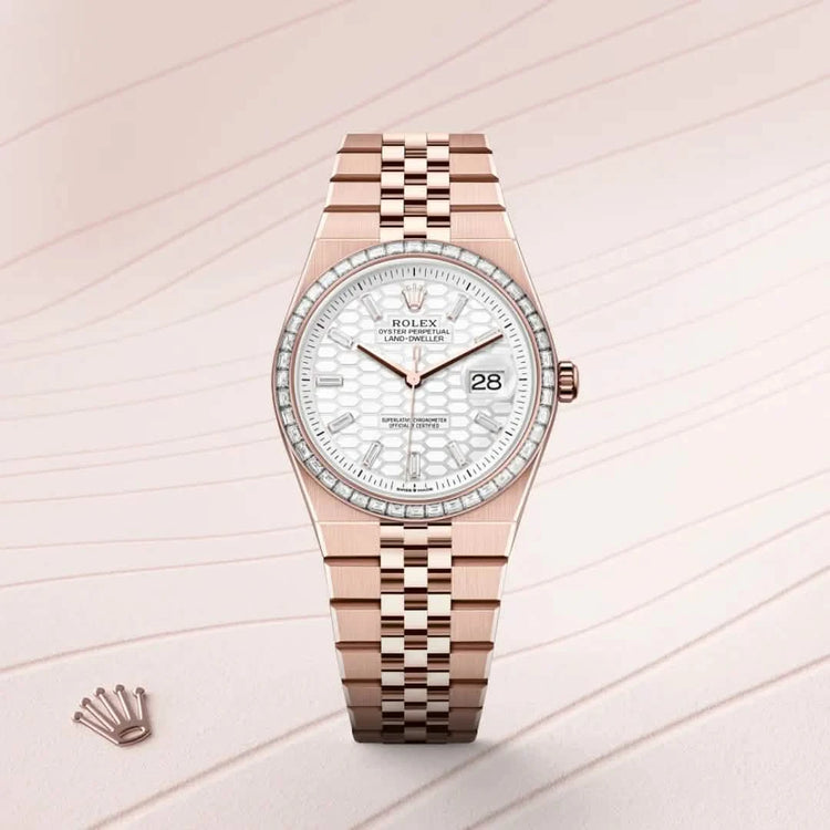 Rolex Land-Dweller 36