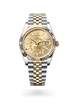 Sky-Dweller - image 2 of 4