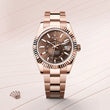 Sky-Dweller - image 2 of 4