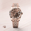 Sky-Dweller - image 2 of 4