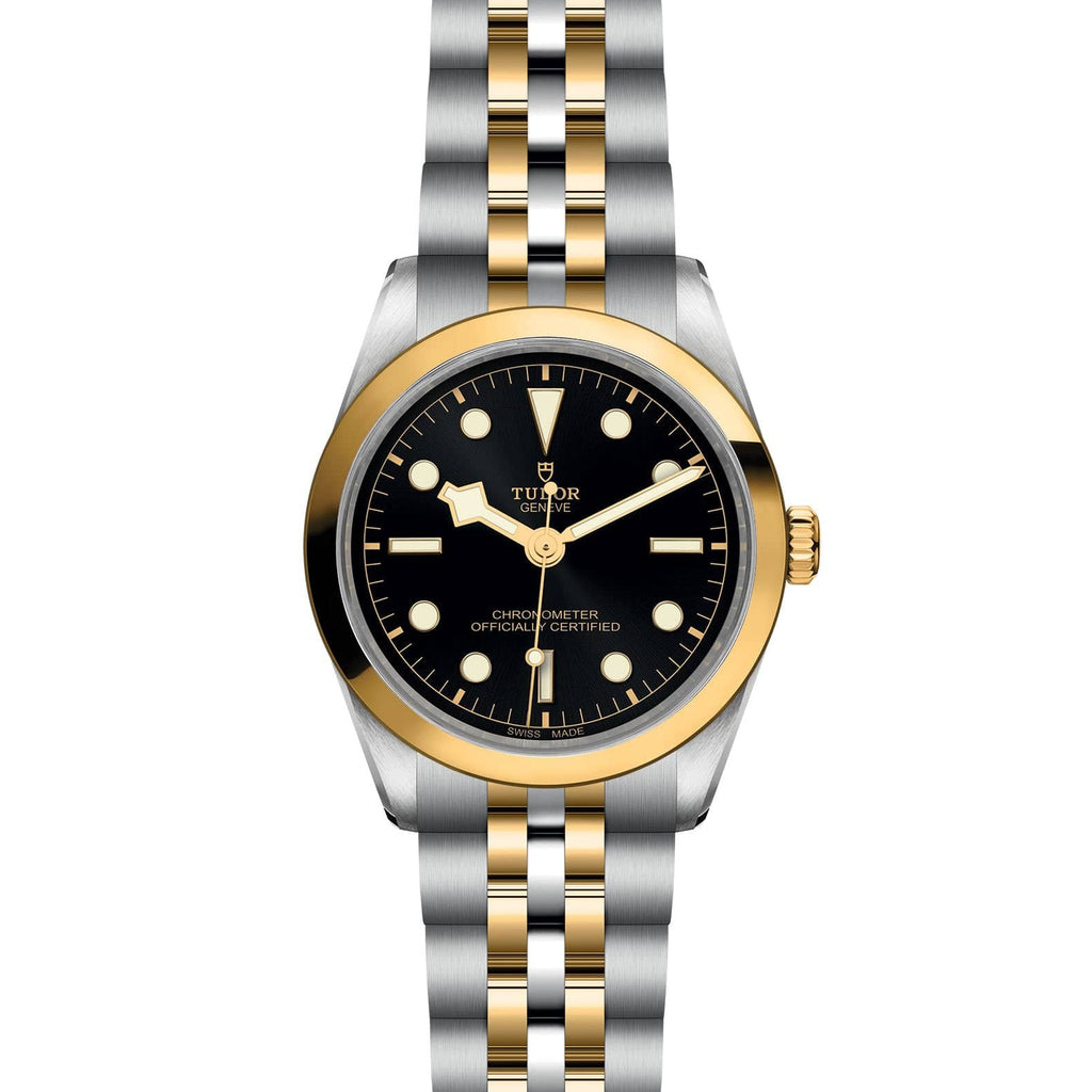 TUDOR Black Bay 36 S&G