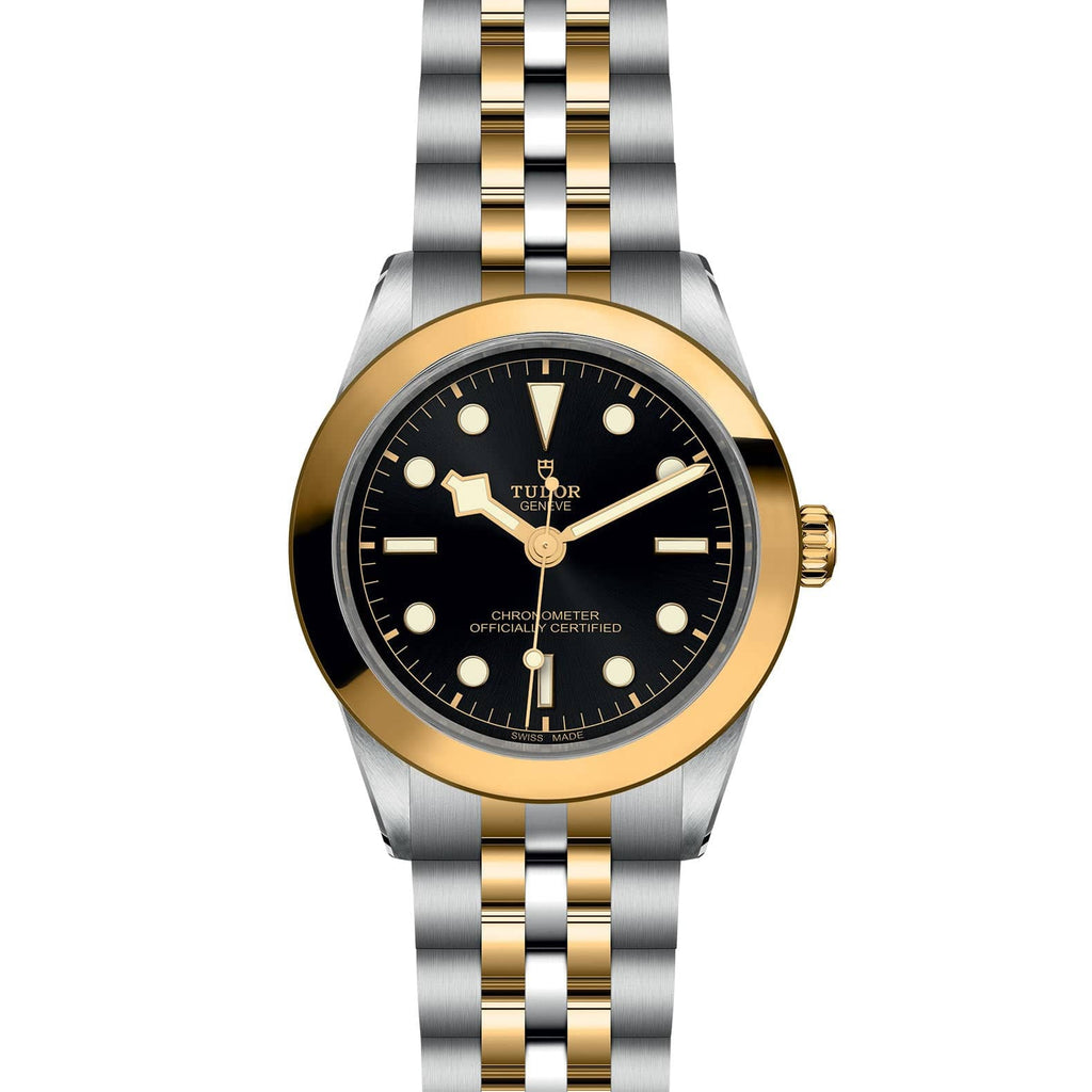 TUDOR Black Bay 39 S&G