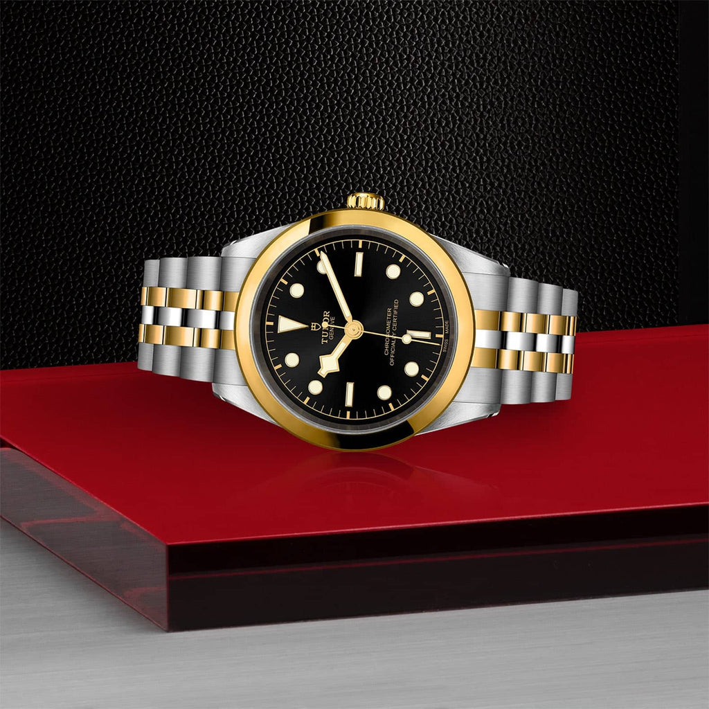 TUDOR Black Bay 41 S&G M79683-0001 – Hamra Jewelers