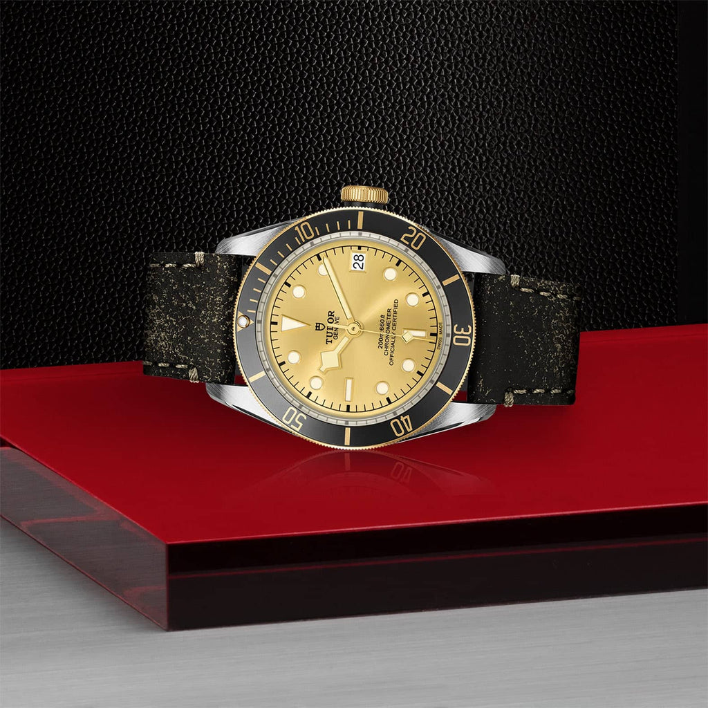 TUDOR Black Bay S&G 41mm Steel & Gold