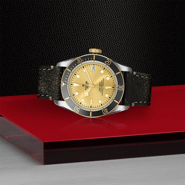 TUDOR Black Bay S&G 41mm Steel & Gold