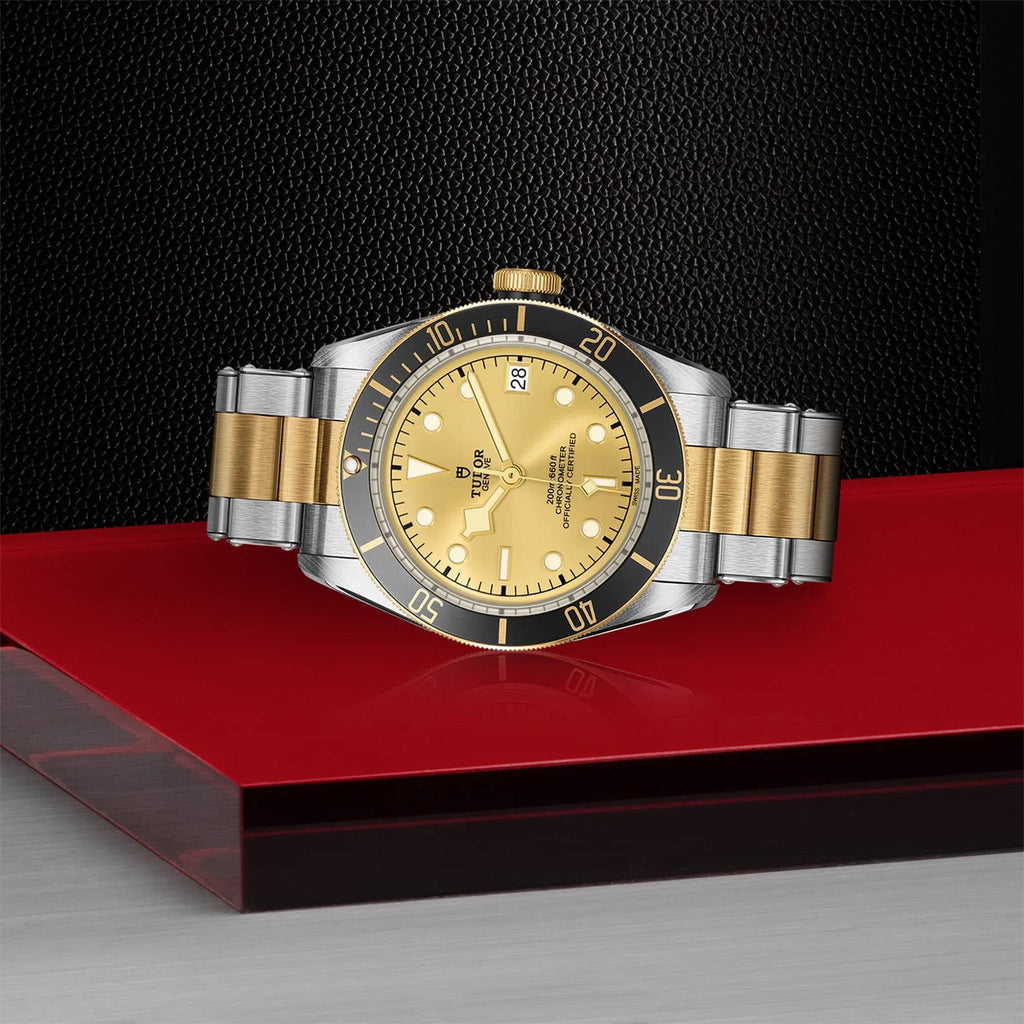 TUDOR Black Bay S&G 41mm Steel & Gold