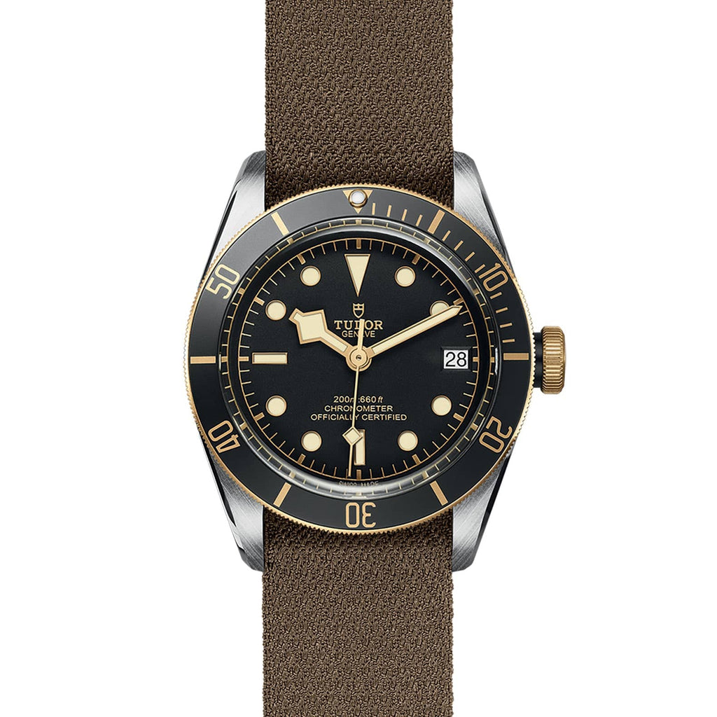 TUDOR Black Bay S&G