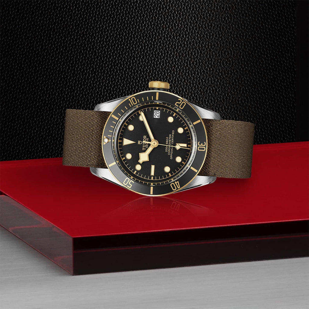 TUDOR Black Bay S&G