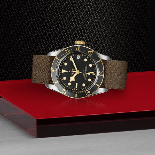 TUDOR Black Bay S&G 41mm Steel & Gold