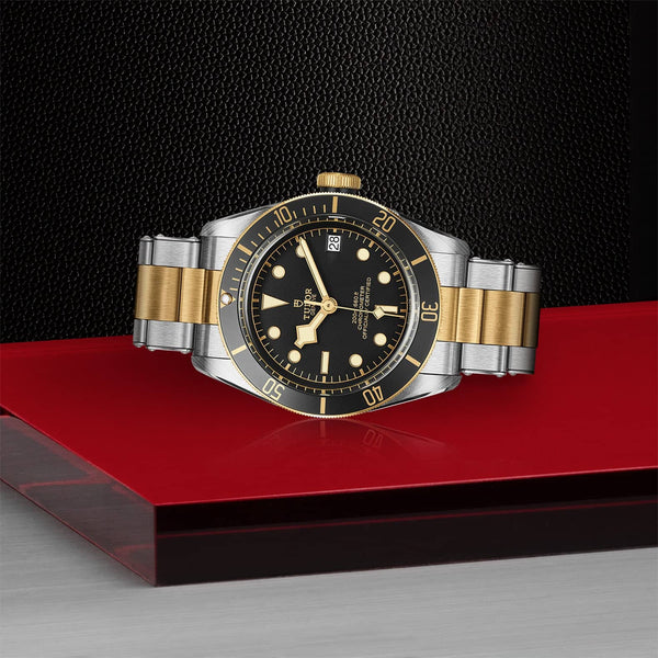 TUDOR Black Bay S&G 41mm Steel & Gold